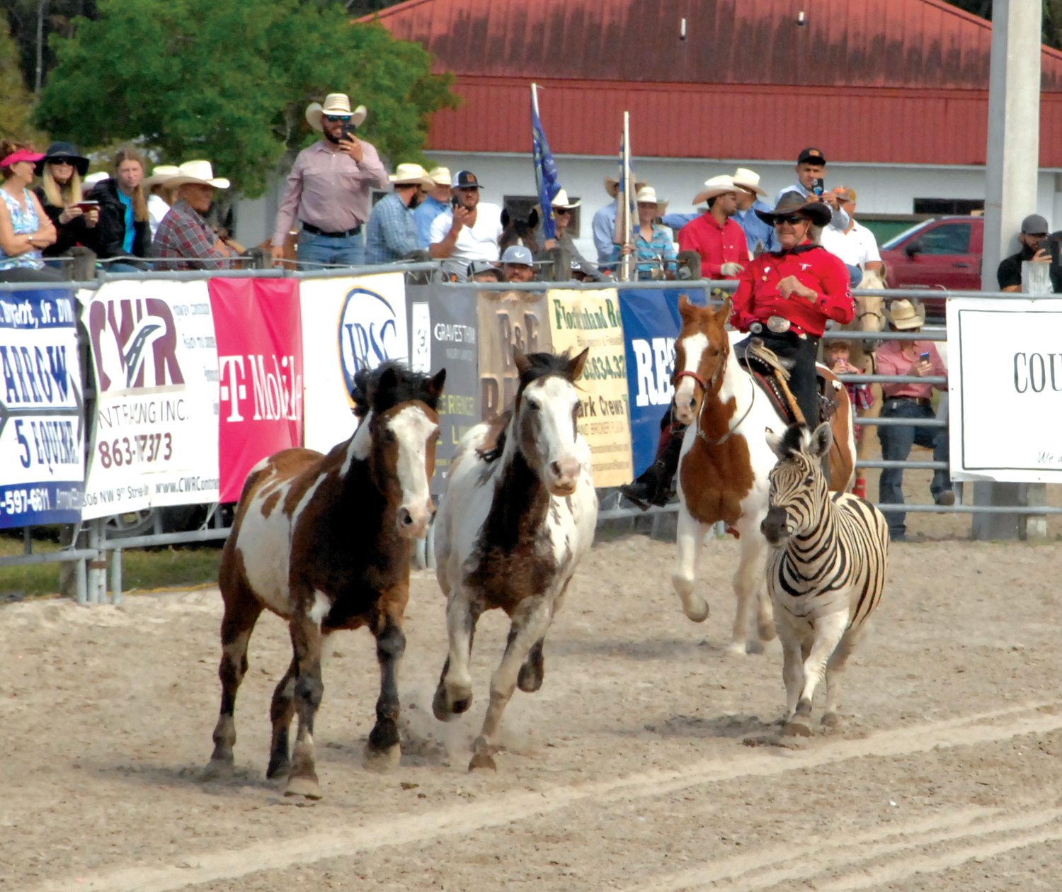 OKEECHOBEE -- The One Armed Bandit thrilled rodeo fans with feats or horsemanship.